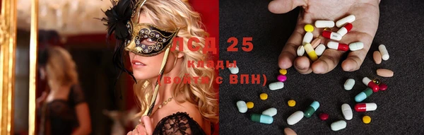 дживик Новодвинск