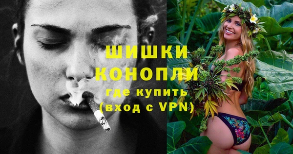 твердый Шадринск