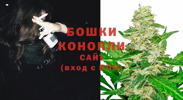 дживик Новодвинск