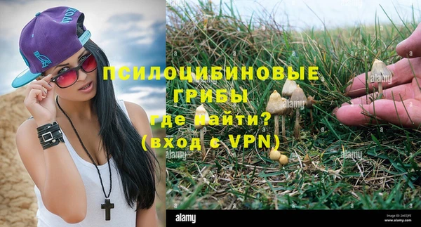 a pvp Нестеровская