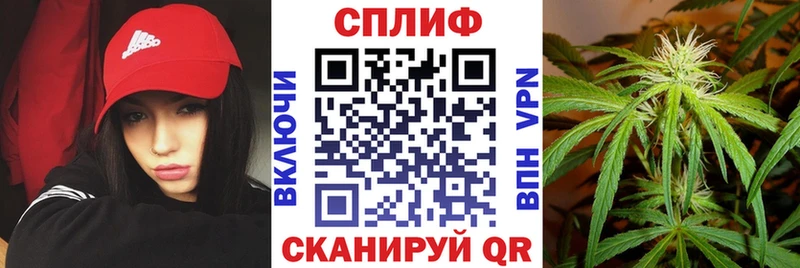 Шишки марихуана ГИДРОПОН  что такое   Рыльск 